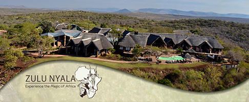 zulu nyala heritage
